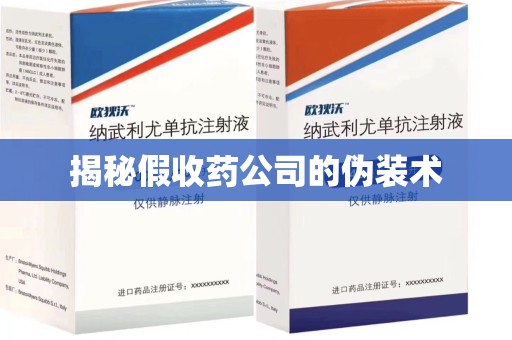 合肥揭秘假收药公司的伪装术