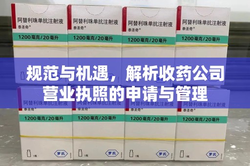 合肥规范与机遇，解析收药公司营业执照的申请与管理