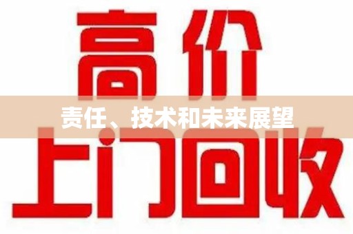合肥责任、技术和未来展望