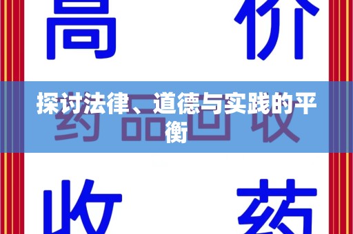 合肥探讨法律、道德与实践的平衡