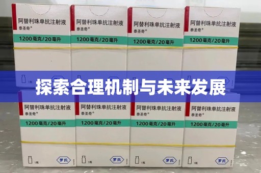 合肥探索合理机制与未来发展