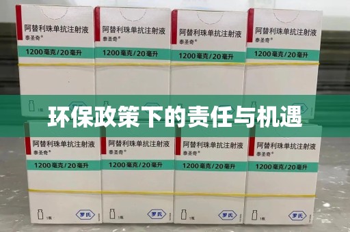 合肥环保政策下的责任与机遇