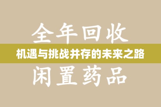 合肥机遇与挑战并存的未来之路