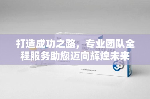 合肥打造成功之路，专业团队全程服务助您迈向辉煌未来