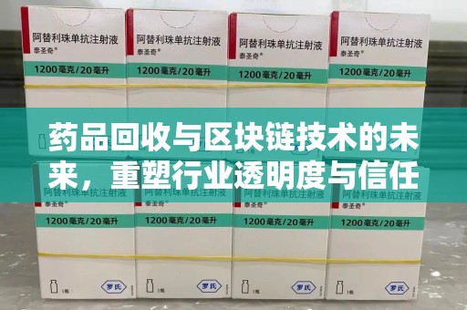 合肥药品回收与区块链技术的未来，重塑行业透明度与信任
