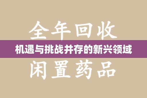 合肥机遇与挑战并存的新兴领域