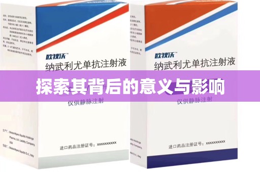 合肥探索其背后的意义与影响