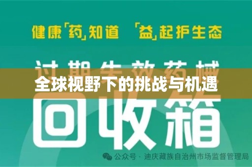 合肥全球视野下的挑战与机遇