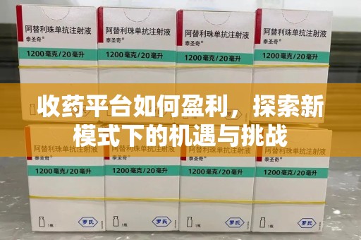 合肥收药平台如何盈利，探索新模式下的机遇与挑战
