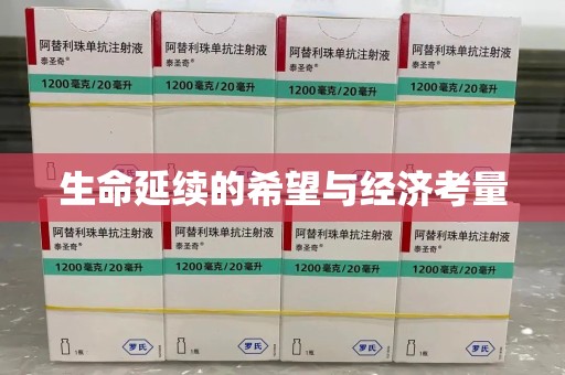 合肥生命延续的希望与经济考量