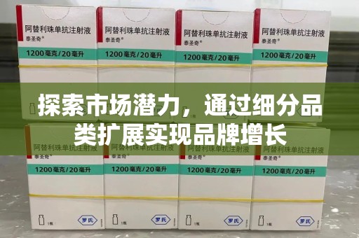 合肥探索市场潜力，通过细分品类扩展实现品牌增长