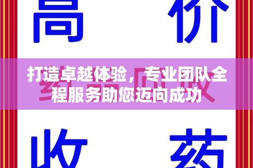 合肥打造卓越体验，专业团队全程服务助您迈向成功