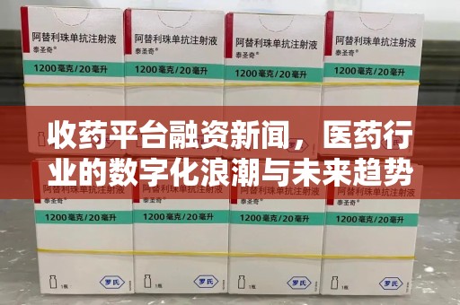 合肥收药平台融资新闻，医药行业的数字化浪潮与未来趋势