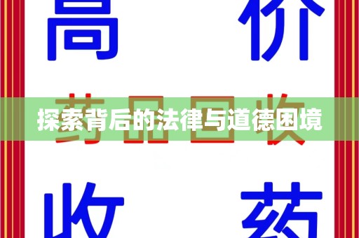 合肥探索背后的法律与道德困境